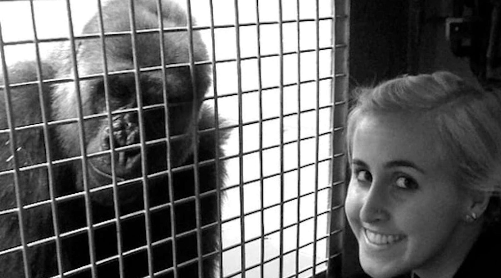 Of Primates and Personhood - Bears Den Essentials