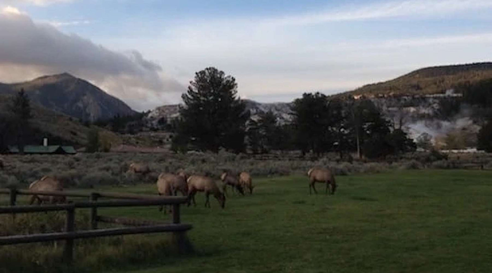 The West, Revisited - Bears Den Essentials