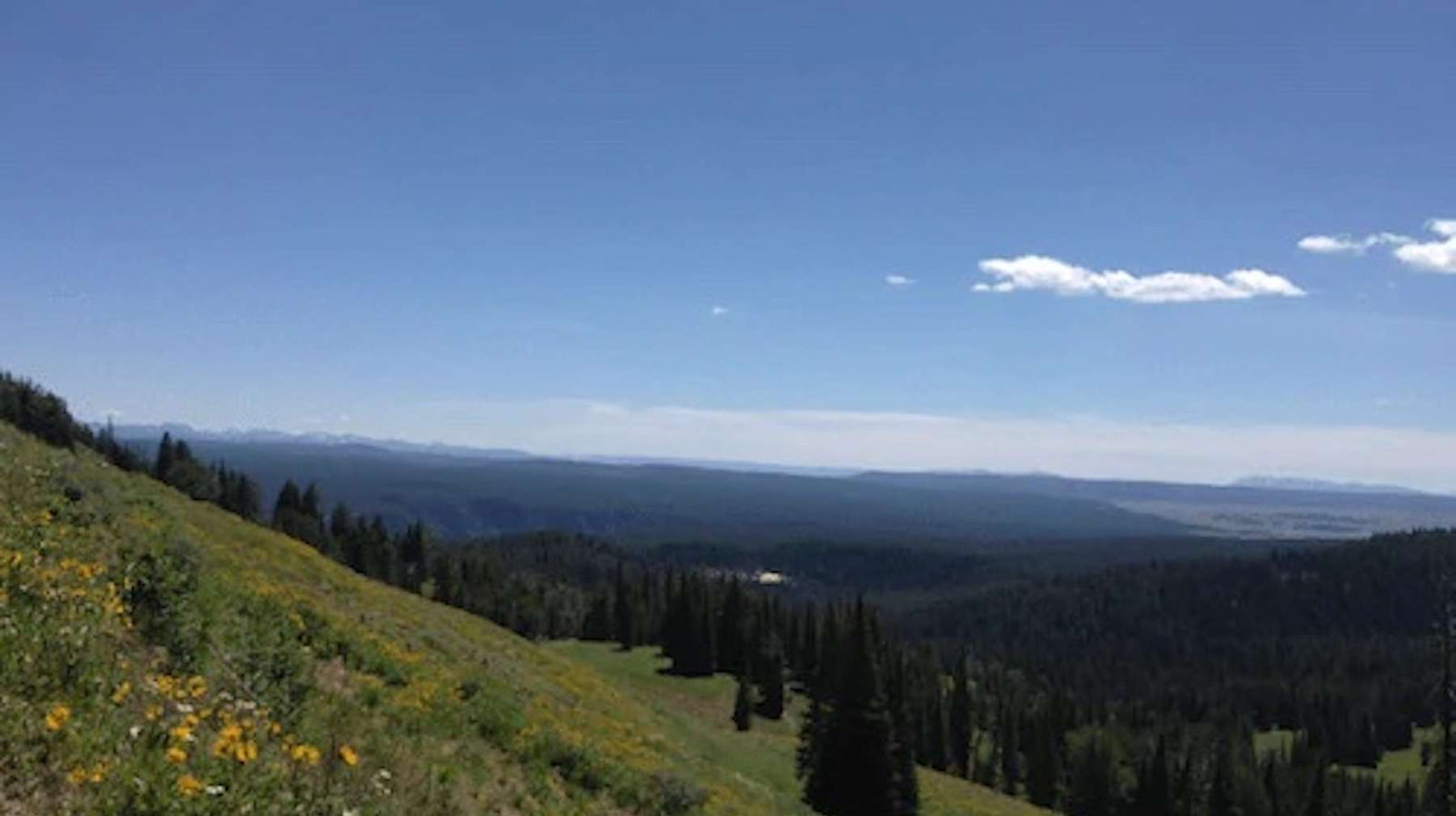 To Montana, With Love - Bears Den Essentials