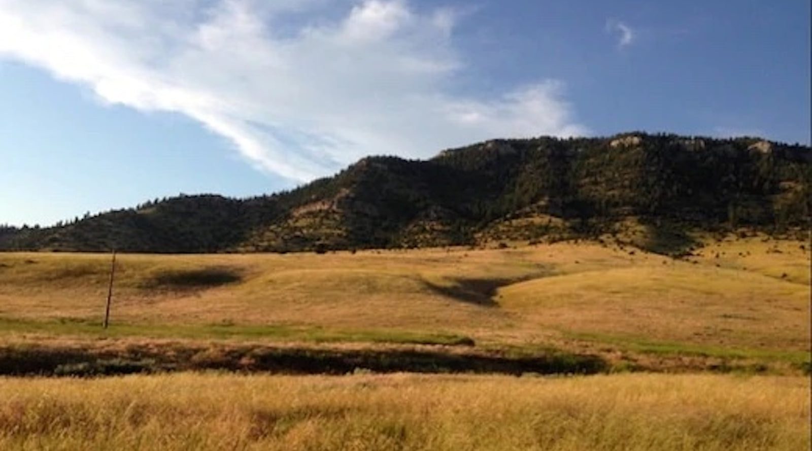 Arrivals, NACCB 2014 - Bears Den Essentials