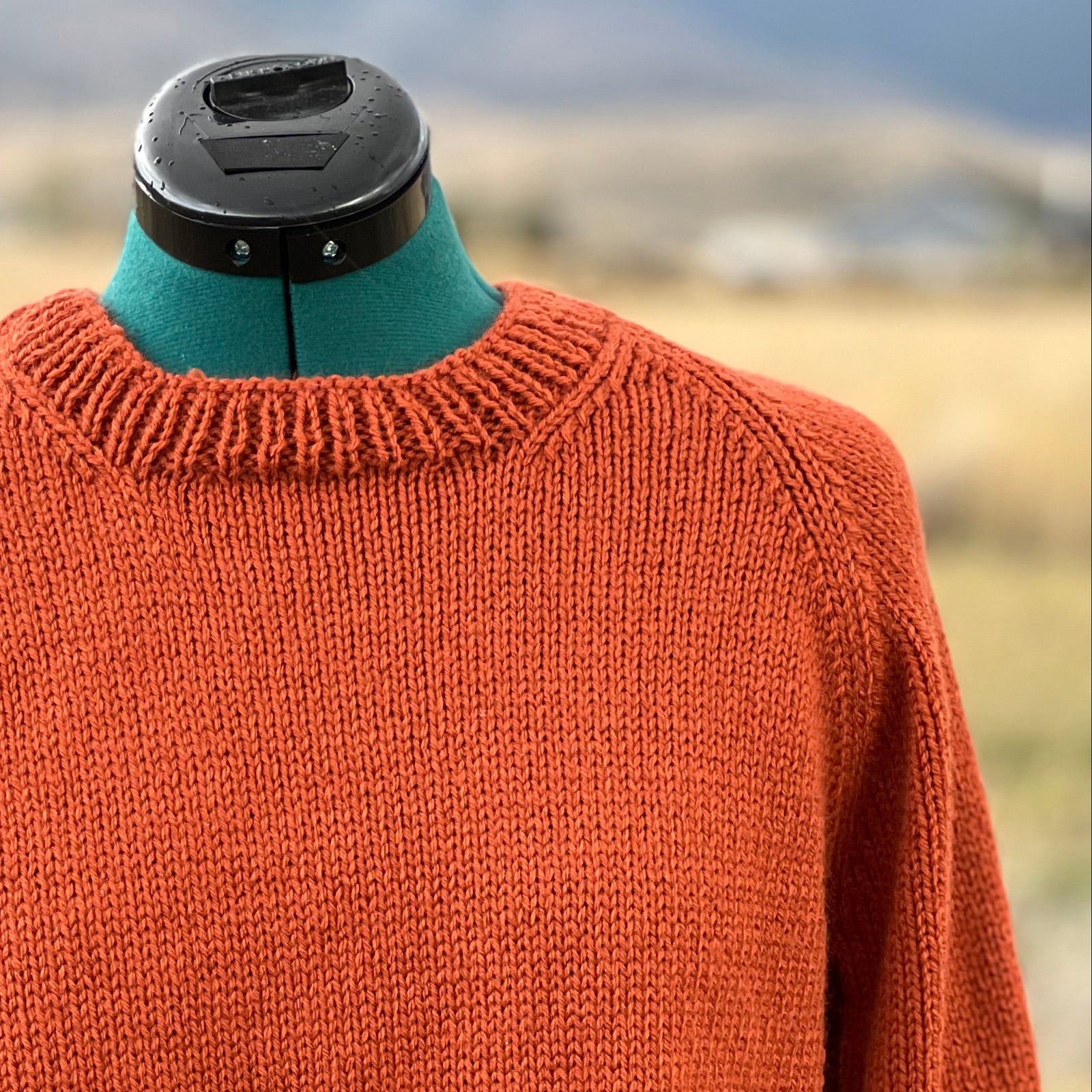 An orange knit crewneck sweater displayed on a dress form mannequin outdoors, with a blurred field and mountains in the background.