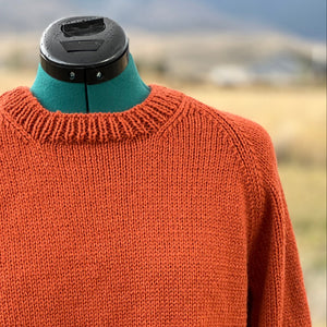 A close-up of a textured knit crewneck sweater in rust orange displayed on a teal dress form outdoors with a blurred natural background.